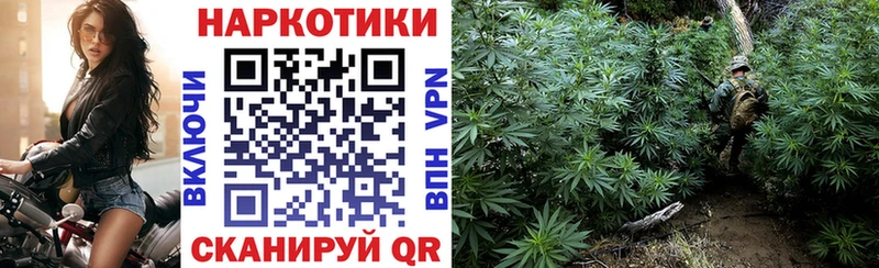 Наркотические вещества Электрогорск Alpha-PVP  blacksprut   Cocaine  Бошки Шишки 