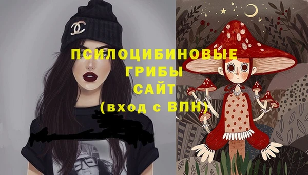 крисы Алексеевка
