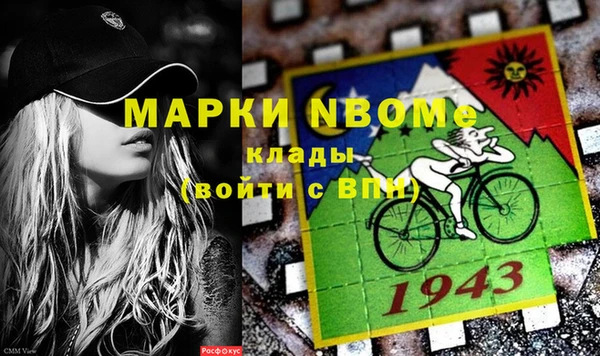 прущие грибы Кулебаки