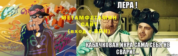 прущие грибы Кулебаки