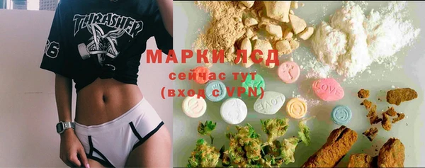прущие грибы Алексин
