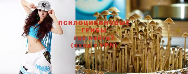 spice Кукмор
